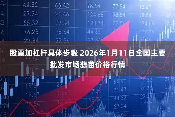 股票加杠杆具体步骤 2026年1月11日全国主要批发市场蒜苗价格行情