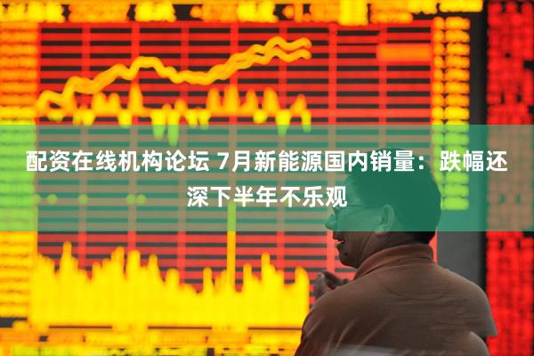 配资在线机构论坛 7月新能源国内销量：跌幅还深下半年不乐观